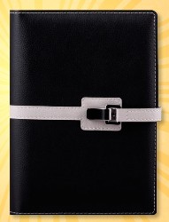 agende de lux datate zilnic 2021 cu pix inclus si coperta cu catarama metalica poza 3