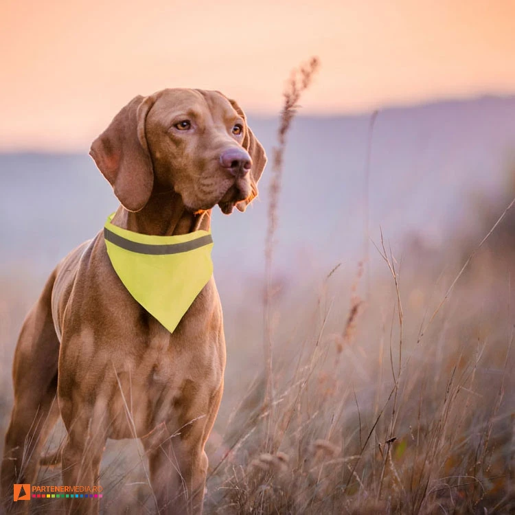 zgari promotionale cu bandana reflectorizanta ap781925 poza 1