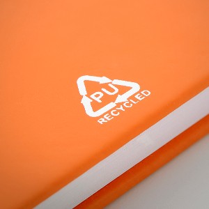 AP800741 03  DG1 poza 9