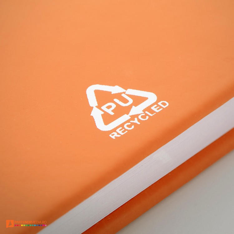 AP800765 03  DG1 poza 10