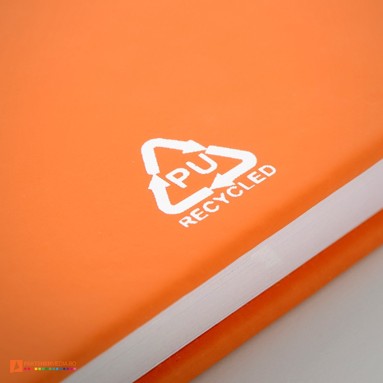 AP800766 03  DG1 poza 17