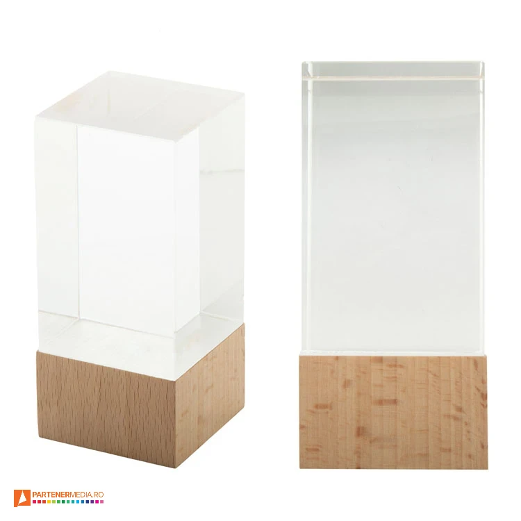 trofee din sticla cu baza din lemn de fag ap808550 trofee din sticla cu baza din lemn de fag ap808550 poza 1