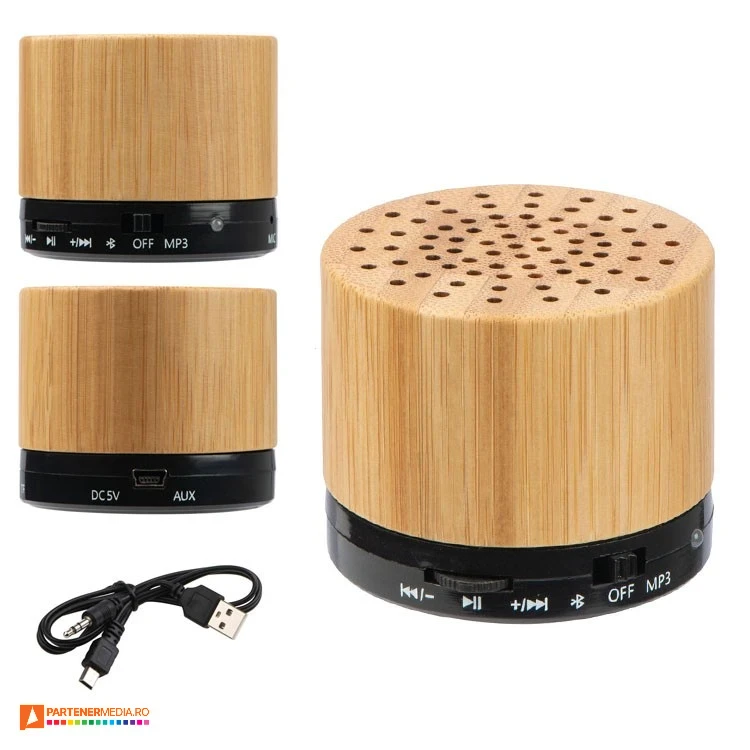 boxe audio portabile din lemn si plastic 0901
