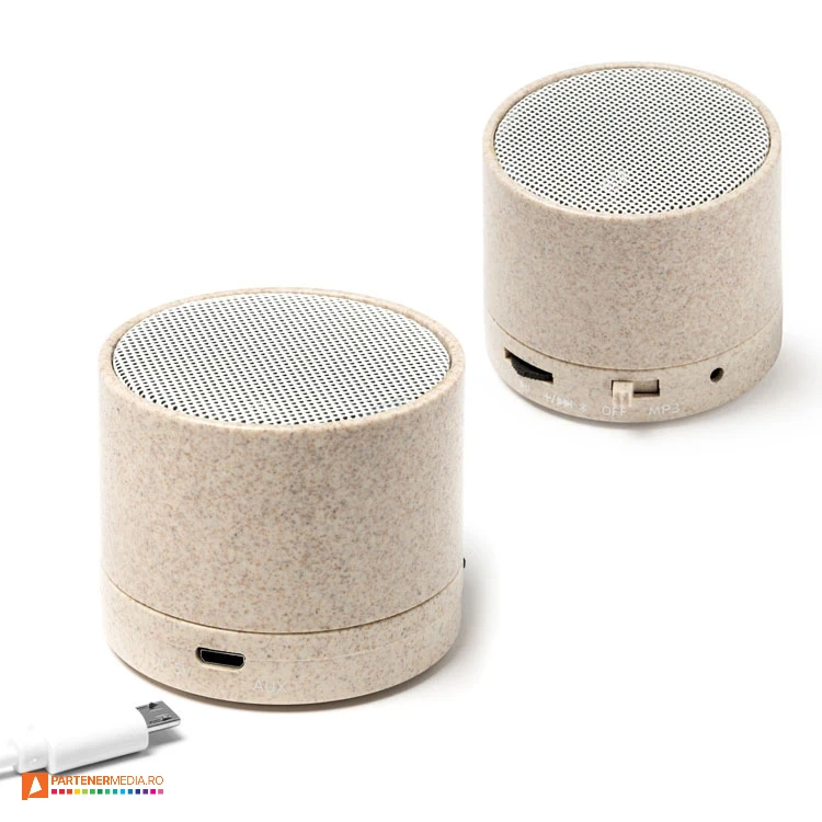 boxe audio portabile cu radio si slot micro sd bs3198