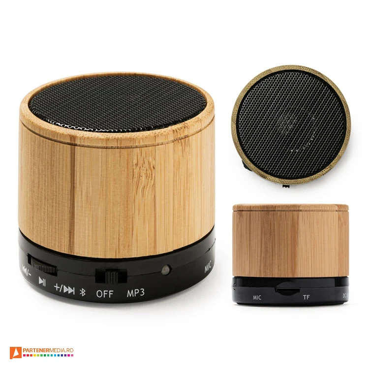 boxe audio wireless portabile cu microfon si radio bs3306