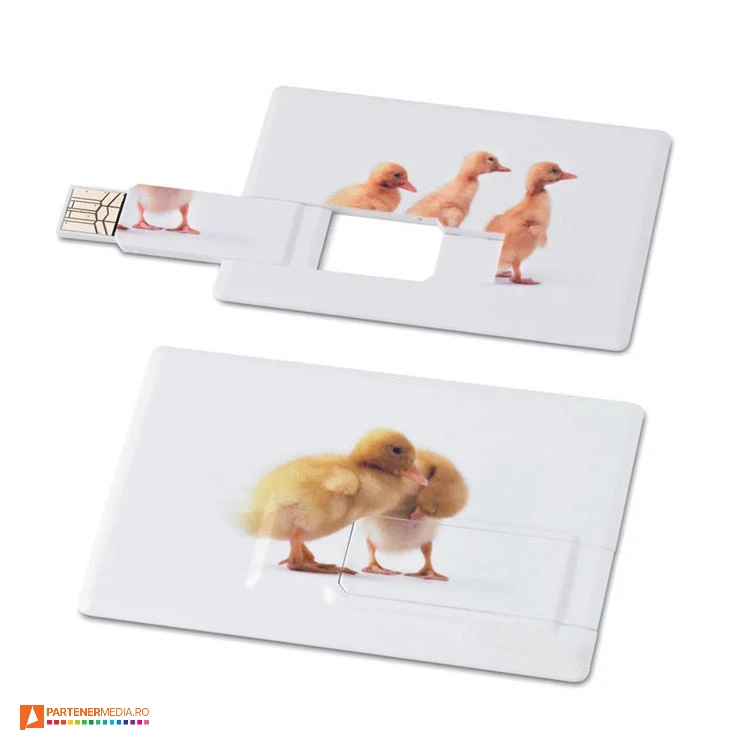memory carduri usb de 16 cu forma de card mo1059c poza 1