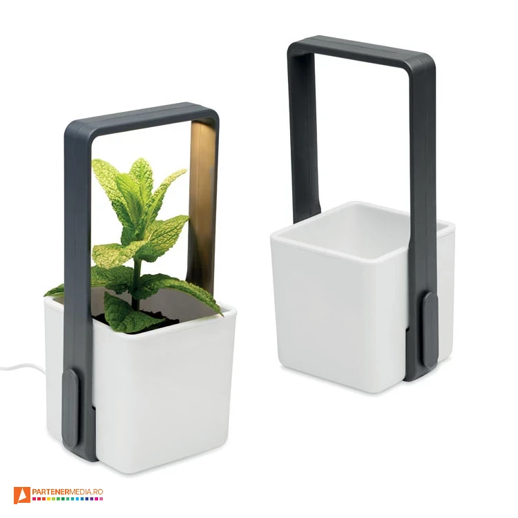 ghivece promotionale cu lumina led mo2702 poza 1