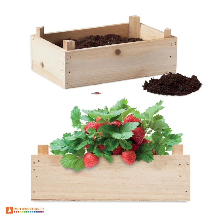 seturi pentru cultivarea capsunilor mo6506 poza 1