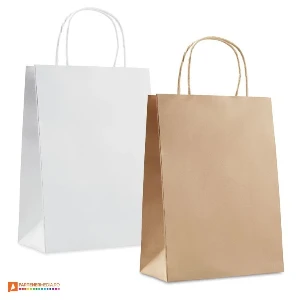 pungi din hartie reciclata cu manare din hartie rasucita mo8808