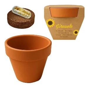 ghivece promotionale cu seminte de floarea soarelui 26408 poza 4