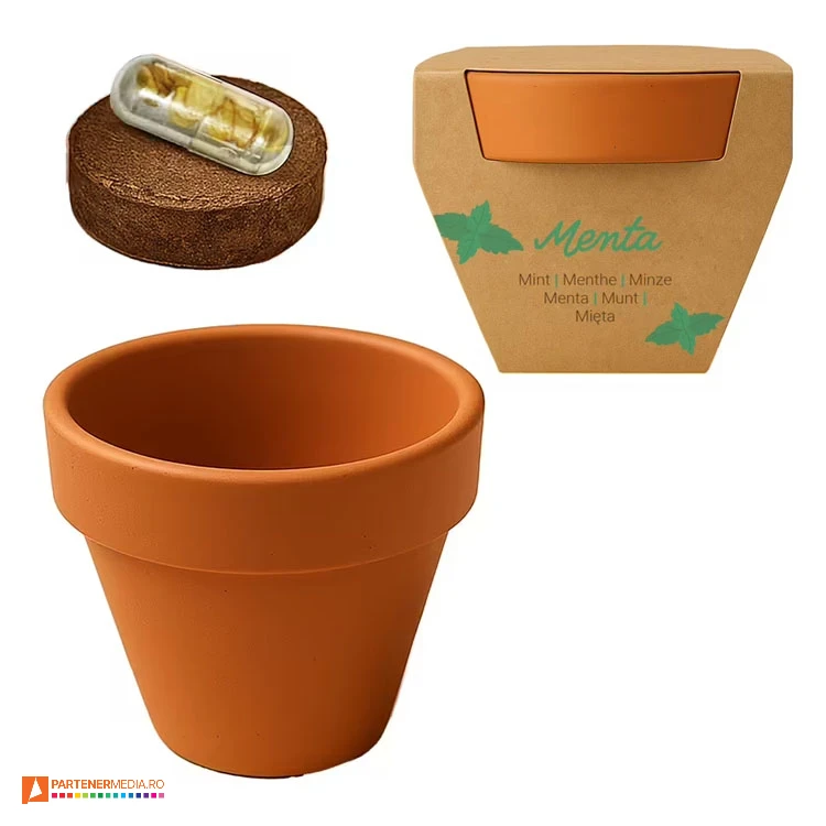 ghivece promotionale cu seminte de menta 26408 poza 5