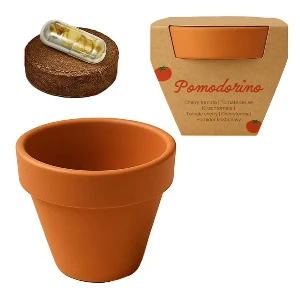 ghivece promotionale cu seminte de rosii 26408 poza 6